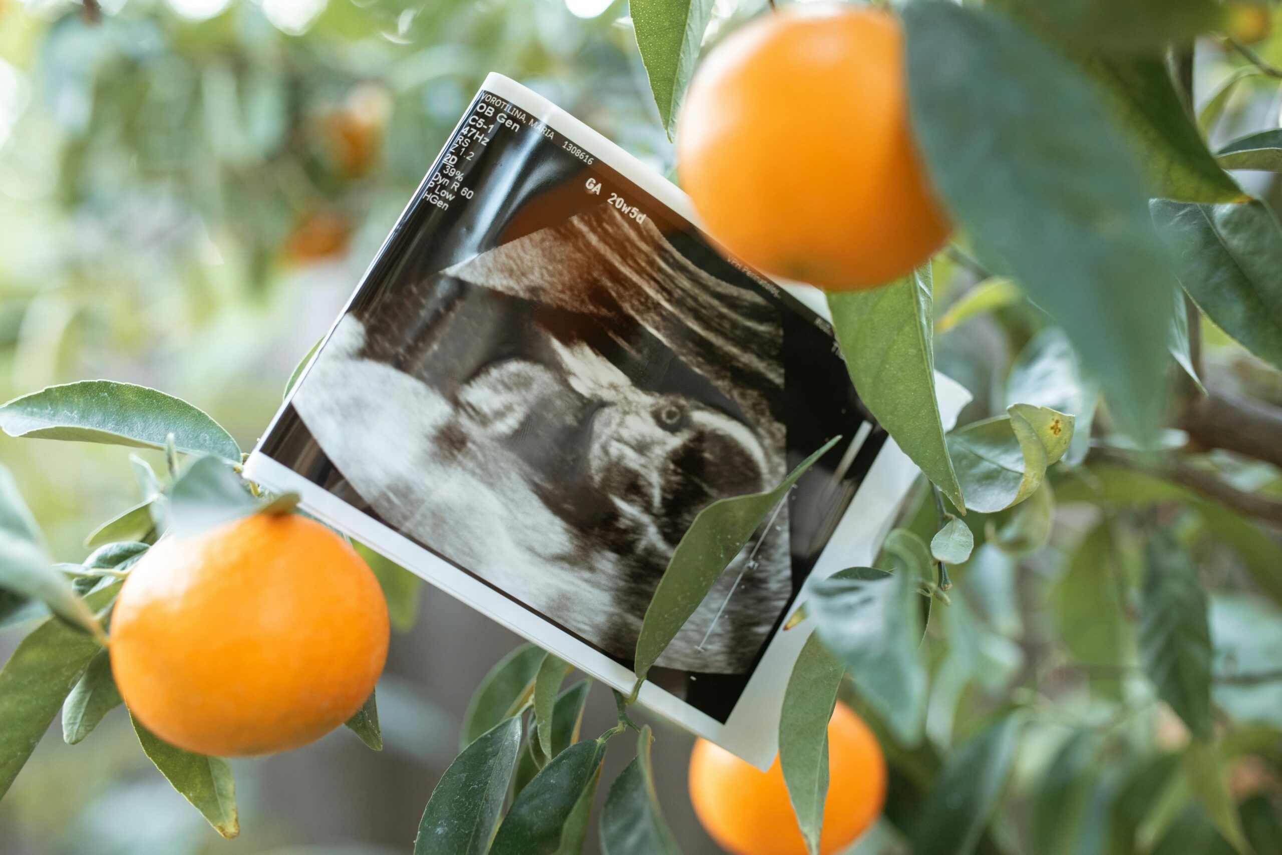 alimentation-debut-grossesse
